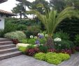 Amenagement Jardin Paysager Inspirant astuces D Entretien Jardin Et Am Nagement Paysager