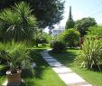 Amenagement Jardin Paysager Luxe astuces D Entretien Jardin Et Am Nagement Paysager