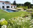 Amenagement Jardin Paysager Luxe atelier Nau R Architecte Paysagiste Concepteur