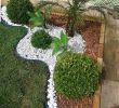 Amenagement Jardin Paysager Unique Idée Par Sandrine Jacquet Sur Steph