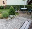 Aménagement Jardin Petite Surface Nouveau G Te Les Roses Mittelwihr