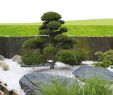Amenagement Jardin Zen Best Of Amenagement Jardin Zen Des Idées