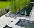 Amenagement Jardin Zen Luxe 60 Simple and Cheap Modern Landscape Design for Garden Ideas
