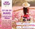 Amenagement Jardin Zen Luxe Salon Du Bien ªtre En Gaume