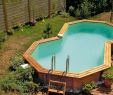 Amenagement Petit Jardin Avec Piscine Beau Piscine Semi Enterrée Hors sol Bien Choisir son Mod¨le