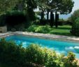 Amenagement Petit Jardin Avec Piscine Beau Un Jardin Aménagé Autour De Votre Piscine Guide Piscine