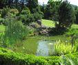 Amenagement Petit Jardin Avec Piscine Best Of Bassin Jardinage — Wikipédia