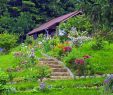 Amenagement Petit Jardin Avec Piscine Unique Aménager Un Talus