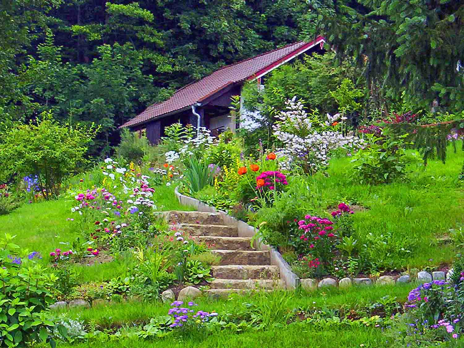 Amenagement Petit Jardin Avec Terrasse Best Of Aménagement Jardin Idées Conseils Et Plans Pour Créer Un