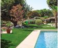 Amenagement Petit Jardin Avec Terrasse Génial Gazon Synthétique Chambord 30 Mm 1m X 3m