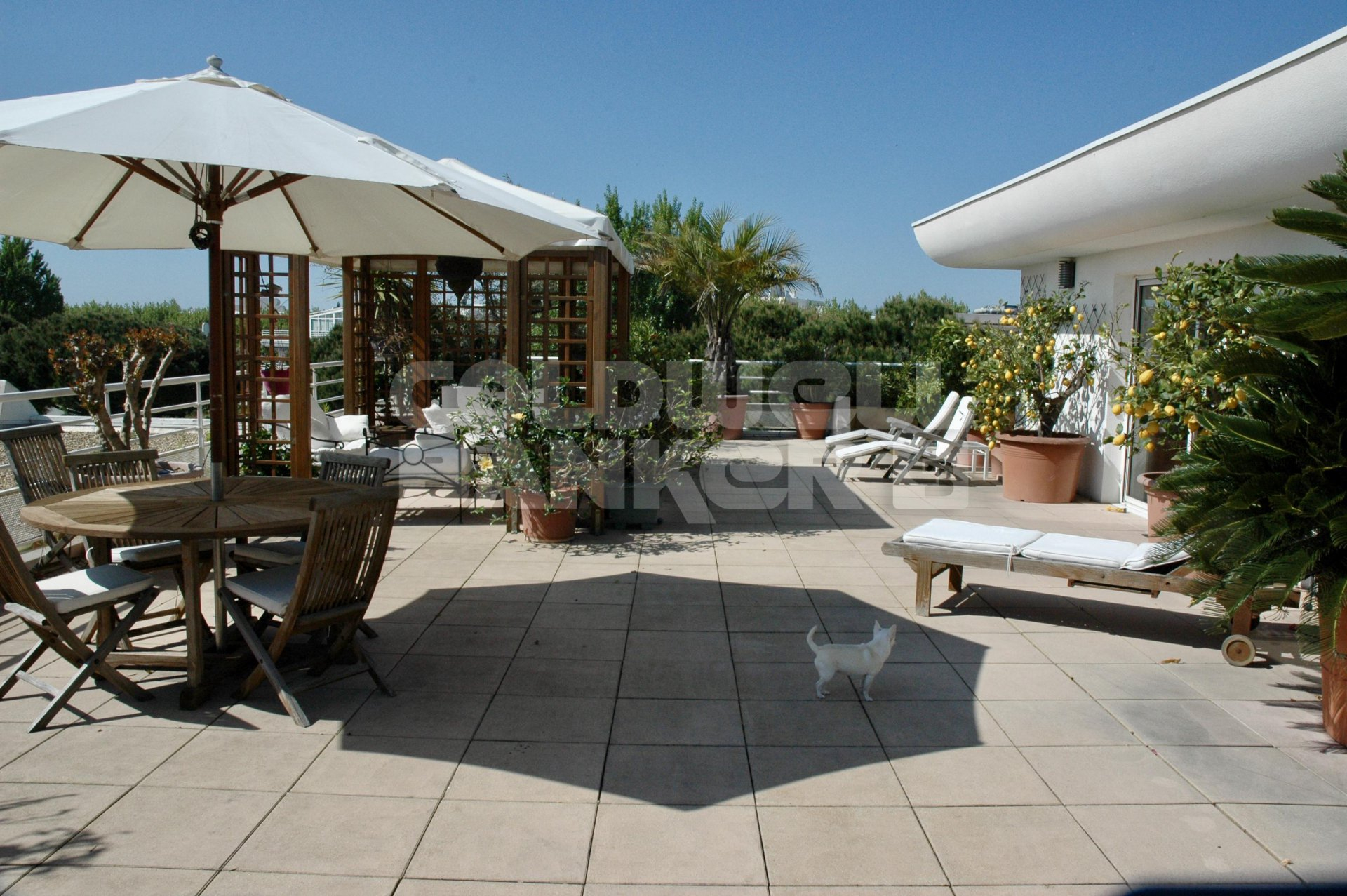 Amenagement Petit Jardin Avec Terrasse Luxe Deco Terrasse Appartement La Grande Motte Appartement toit