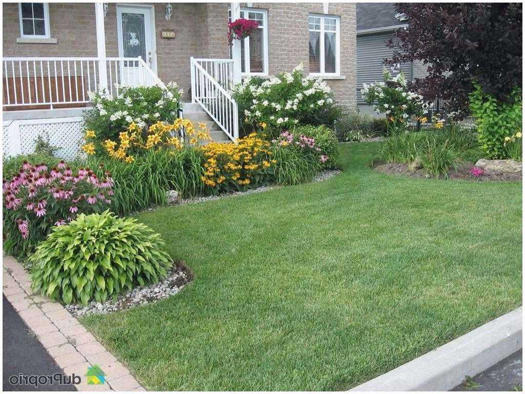Amenagement Petit Jardin Avec Terrasse Luxe Idee Amenagement Jardin Devant Maison
