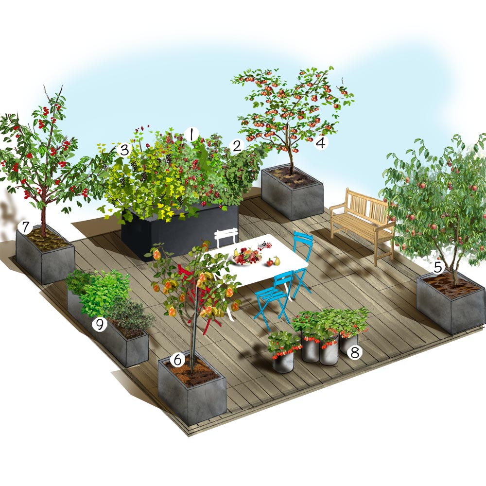 Amenagement Petit Jardin Avec Terrasse Unique Aménagement De Terrasse Terrasse Gourmande Terrasse Balcon