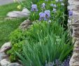 Amenagement Petit Jardin Best Of 90 Stunning Front Yard Cottage Garden Inspiration Ideas