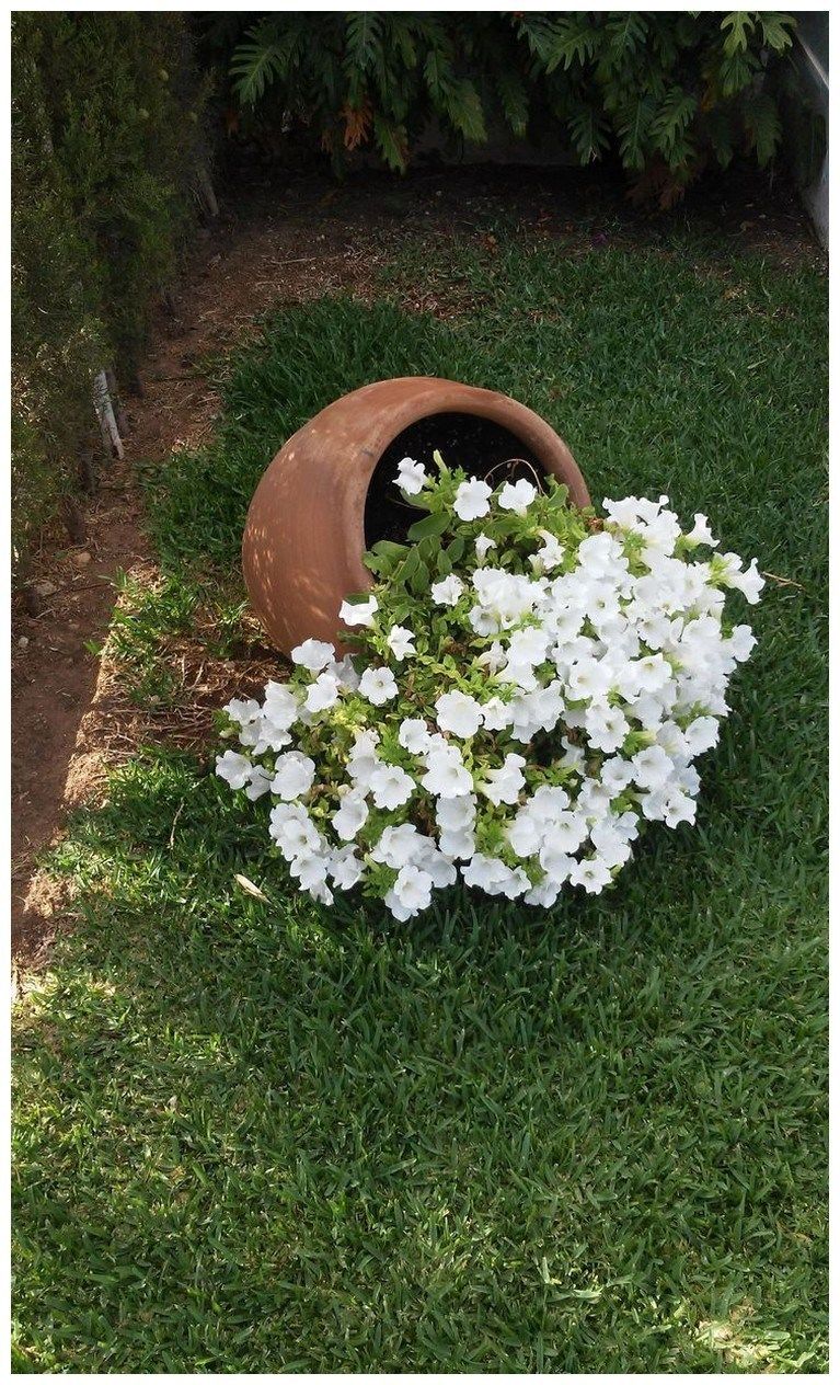 Amenagement Petit Jardin Charmant Cascade De Fleurs