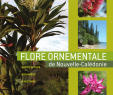 Amenagement Petit Jardin Charmant Pdf Flore ornementale De Nouvelle Calédonie Horticulture