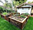 Amenagement Petit Jardin Nouveau 43 Backyard Ideas for Exterior Garden