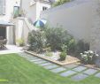 Amenagement Terrasse Bois Jardin Élégant Logiciel Am©nagement Jardin Amenagement Jardin 3d Logiciel