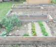 Aménager son Jardin Élégant Truc & Tricks Aménager son Jardin Potager Avec Des Palettes