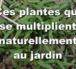 Aménager son Jardin Frais Aménagement D Une Terrasse Parisienne Plantiste épisode