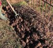 Aménager son Jardin Inspirant Drainage De Terre Agricole by Dom Roy
