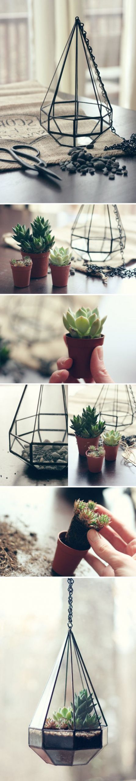 un joli tutoriel pour un terrarium plante suspendu id C3 A9e tr C3 A8s sympa ment fabriquer un terrarium