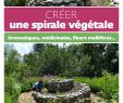 Aménager son Jardin Unique Créer Une Spirale Végétale Amazon Erckenbrecht Irmela