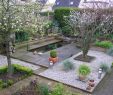 Amenager Un Jardin Beau Bassin D Eau Dans Le Jardin