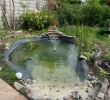 Amenager Un Jardin Best Of Bassin D Eau Dans Le Jardin