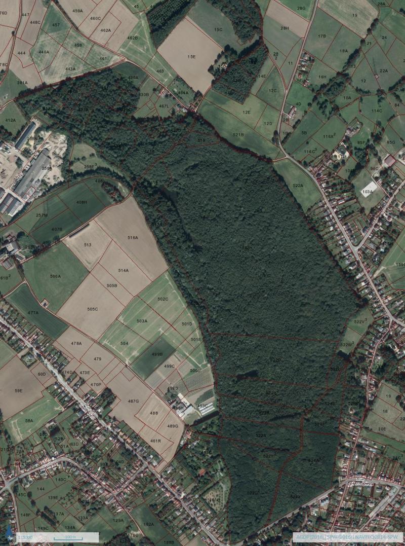 Amenager Un Jardin Élégant Une Coopérative Pour Sauver Le Grand Bois D Hennuy¨res