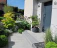 Aménager Un Jardin En Longueur Génial Idee Amenagement Jardin Devant Maison – Gamboahinestrosa