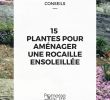 Amenager Un Jardin Frais 15 Plantes Pour Aménager Une Rocaille Ensoleillée