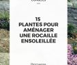 Amenager Un Jardin Frais 15 Plantes Pour Aménager Une Rocaille Ensoleillée