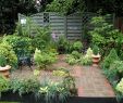 Amenager Un Jardin Inspirant Natural Garden Ideas Google Search