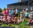 Amenager Un Jardin Luxe Un Jardin Potager Apprécié Par Les écoliers De Bastogne