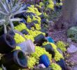 Aménager Un Jardin Nouveau Kako Imeti Prijeten Vrt Lepe Ideje Na Fotografijah In