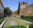 Amenager Un Jardin Unique Puerta Del Almodovar Cordoue 2020 Ce Qu Il Faut Savoir