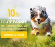 Aménager Un Petit Jardin Nouveau Free Line Website Malware Scanner