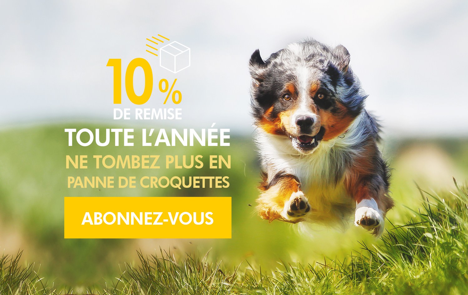 Aménager Un Petit Jardin Nouveau Free Line Website Malware Scanner