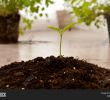 André Jardin Élégant Stock Photo