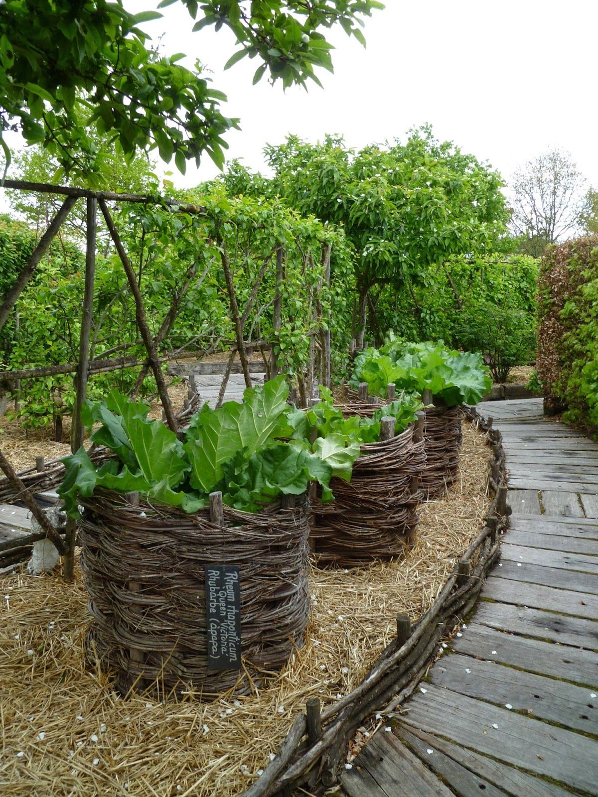Apanages Jardin Charmant 154 Best Potager Images In 2019