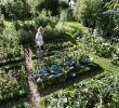 Apanages Jardin Nouveau 154 Best Potager Images In 2019