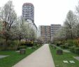 Architecte De Jardin Beau File Jardin Du Moulin De La Pointe Paris 13