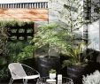 Architecte De Jardin Best Of New Urban A Foo Family Create their Dream Home