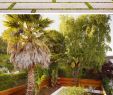 Architecte De Jardin Frais 14 Beautiful Backyards with Level Difference