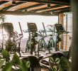 Architecte De Jardin Luxe Hotel Jard­n Tropical Ocean Gym Tenerife