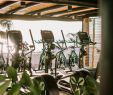 Architecte De Jardin Luxe Hotel Jard­n Tropical Ocean Gym Tenerife