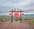 Architecte De Jardin Unique Yun Lai Viewpoint Travel Guidebook –must Visit attractions