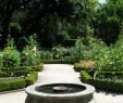 Architecte Jardin Best Of File Jardin Botanico 14 Wikimedia Mons