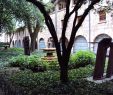 Architecte Jardin Génial File Jardin En El Museo Nacional De Colombia Jpg Wikimedia